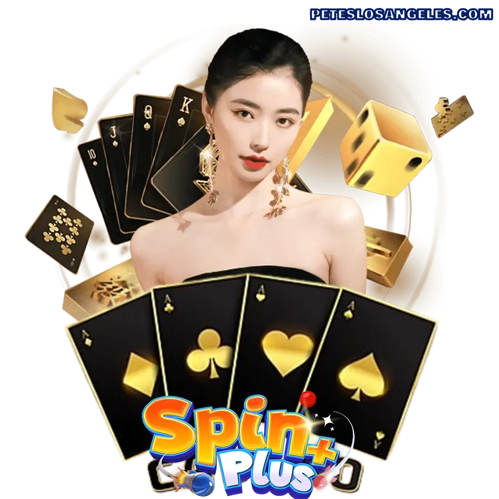 pinplus ทางเข้า