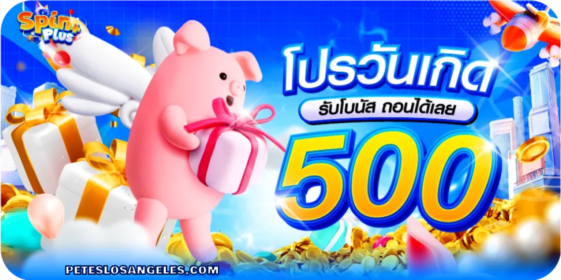 pinplus ทางเข้า